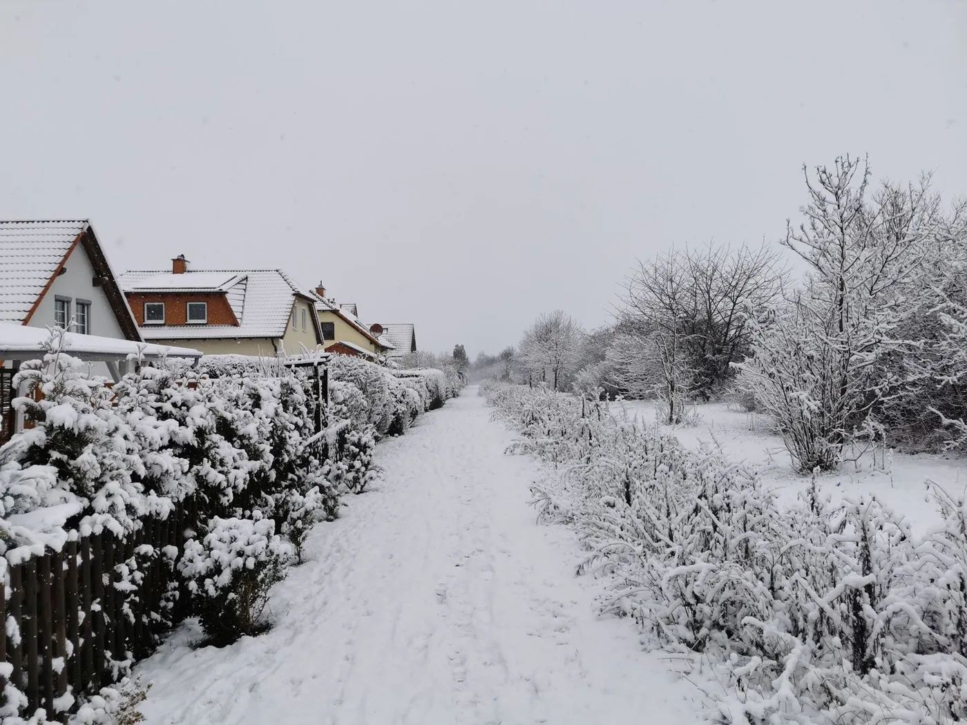 A snowy residential street with a walking path through the snow