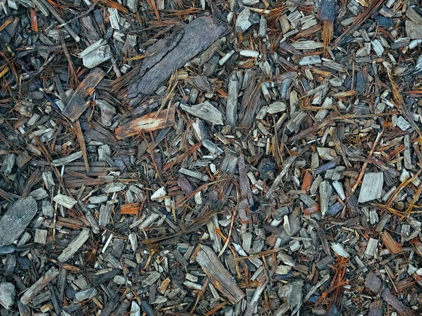 Close-up of fresh mulch spread across a garden bed